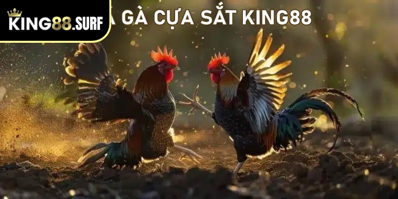 Đá Gà Cựa Sắt King88 - Thỏa Sức Đam Mê, Nhận Về Thưởng Khủng