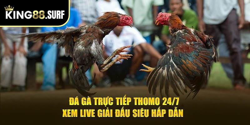 Sảnh cược đá gà King88 live trực tiếp hấp dẫn, mới nhất