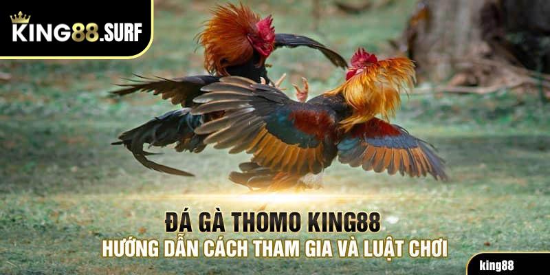 Hướng dẫn luật chơi và cách tham gia đá gà Thomo King88 mới nhất