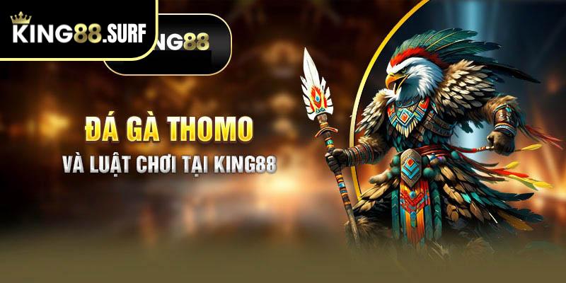 Đá gà Thomo luật chơi chi tiết tại King88